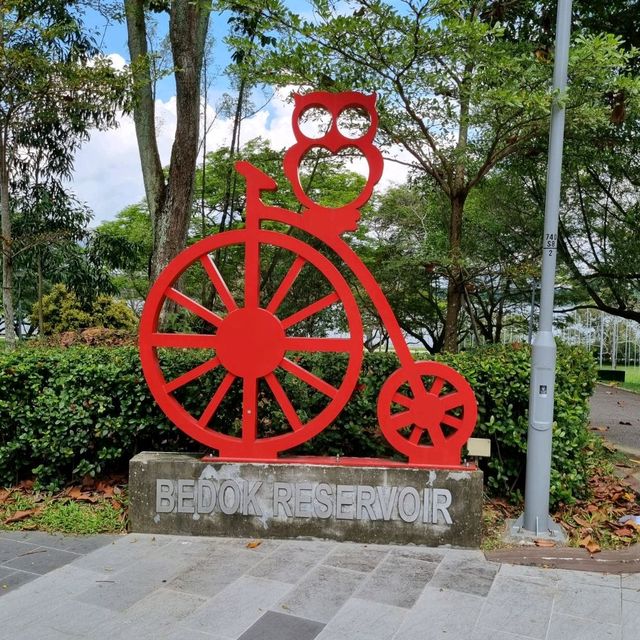 Just Chilling At Bedok Reservoir Park