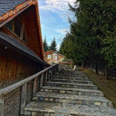 Sergiana User Photo