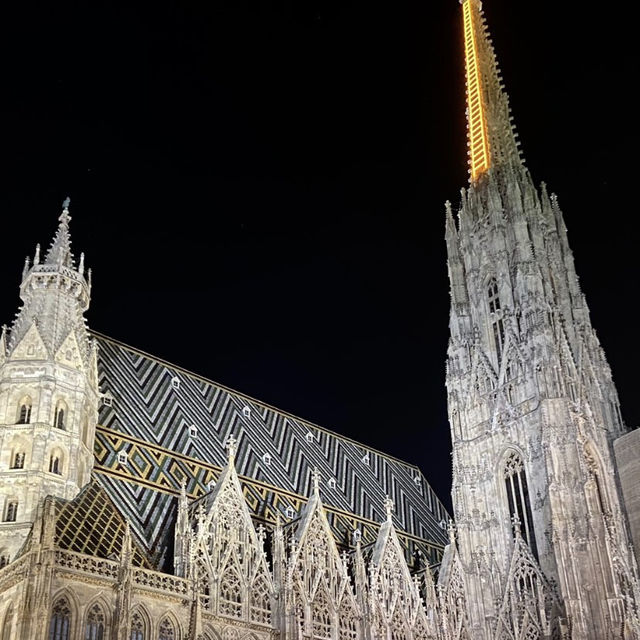 Vienna Night view 🌃