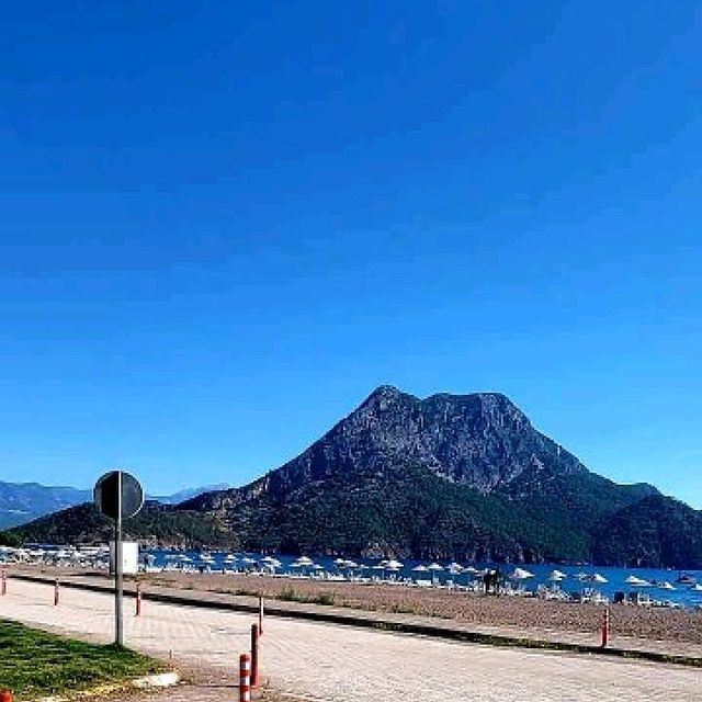 vitamin sea