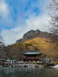 아름다운 설경, 장성 백양사