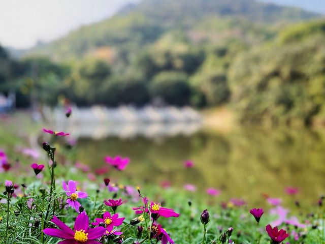 A perfect picnic spot and mountain climb