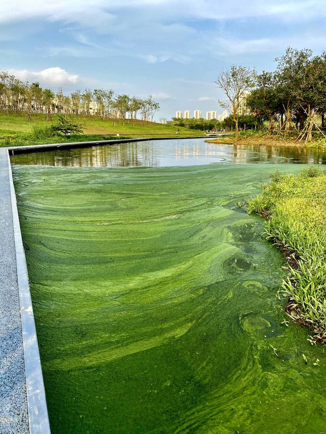 Beautiful park in Haikou 