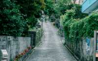 ⛩Japan | Okinawa🌟Shuri Kinjocho Stone-paved Road