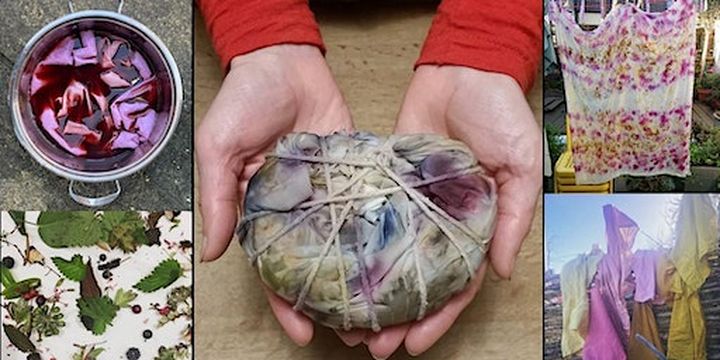 Nature's Palette: Natural Dye Weekend with Deborah Manson | Phoenix Art Space