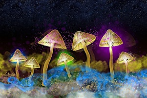The Science of Psychedelics with Neuroscientist Maria Balaet | Rodber Suite