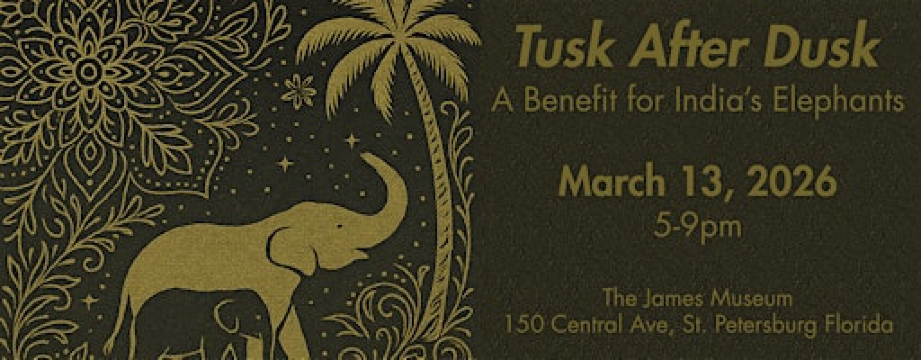 Tusk After Dusk: St. Petersburg, Florida | The James Museum of Western & Wildlife Art