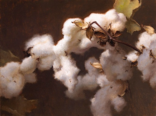 Grace DeVito-Painting the Organic Still Life | Franciscan Life Process Center