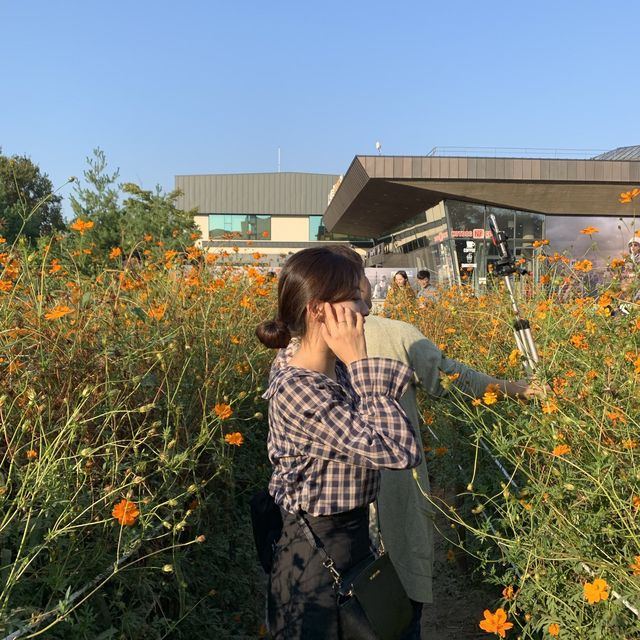 가을엔 올림픽공원