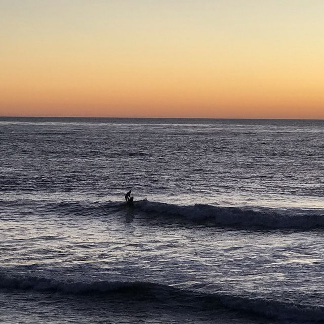 샌디에이고 Sunset Cliffs Natural Park 노을맛집 🌅
