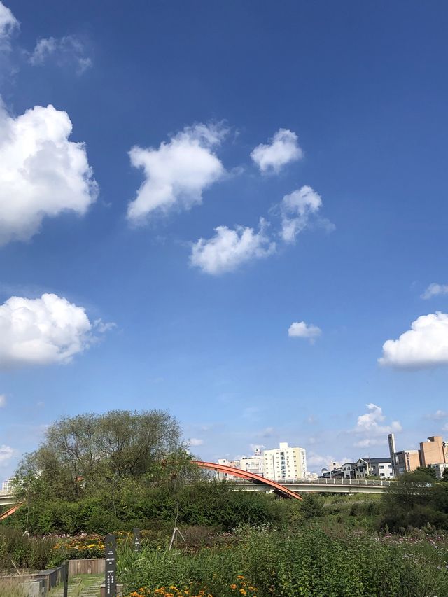 오산 피크닉 명소, 맑음터 공원 🌳