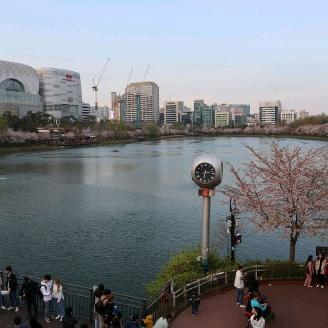 櫻花下的石村湖水公園