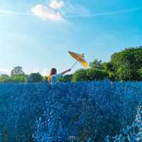 Flower Lovers. CNX | สวนดอกไม้เชียงใหม่​