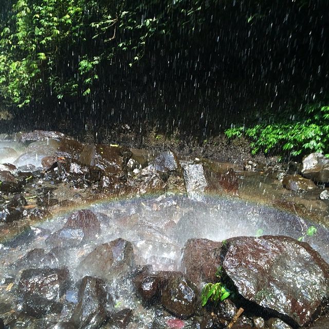 Winsome Waterfall Madakaripura