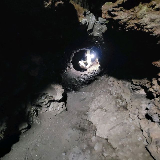 【山梨】富士山のお腹に入れる！洞窟～船津胎内樹型