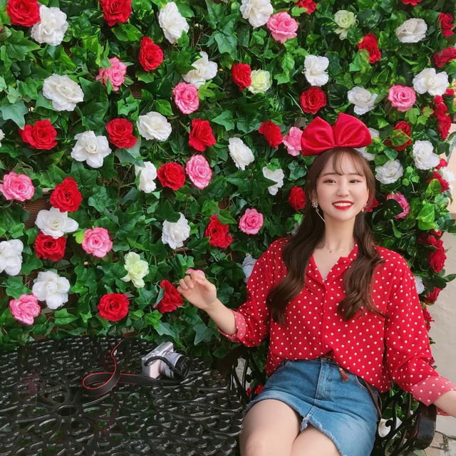 포토존 천국, 롯데월드 🎡