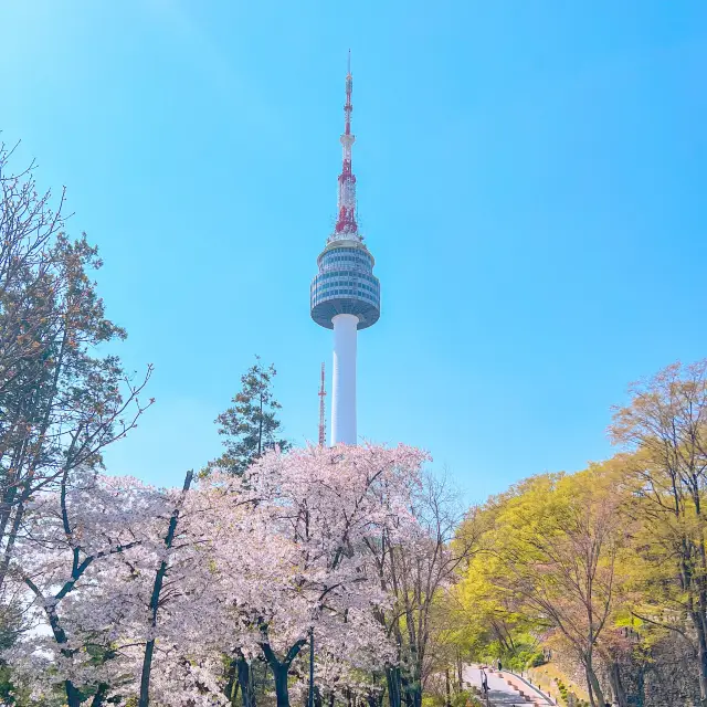 Have you all been up to Namsan Tower observatory? ⁉️