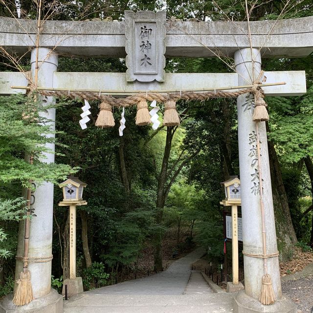 다케오의 거대한 녹나무 : 다케오 신사