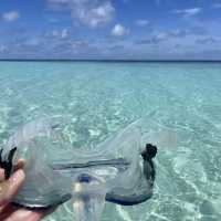 W Maldives Snorkeling 🤿 