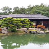 日式庭園美景🌳🌳🌳