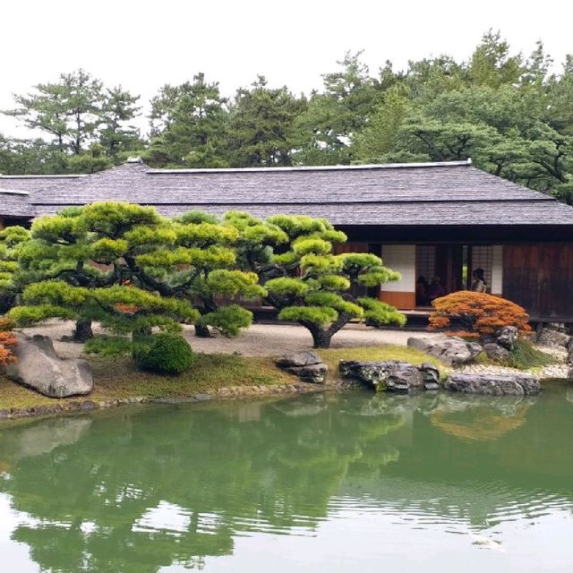 日式庭園美景🌳🌳🌳