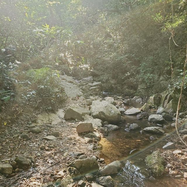 “城門水塘”看山林水塘美景~ 😎