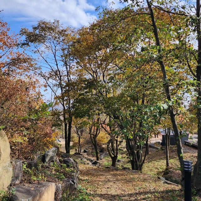 황매산 오토캠핑장에서 가을 산책을!