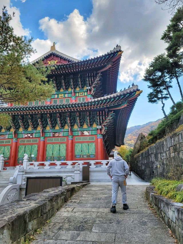 산청한방테마파크에서 좋은 기운받고 지리산의 가을 즐기기🍂🍁
