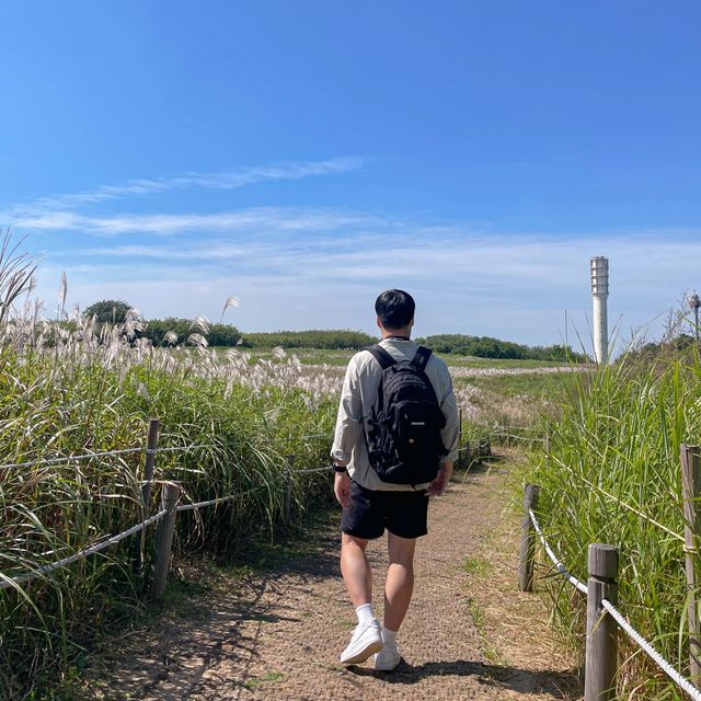 가을에 가장 이쁘고 노을 맛집, 하늘공원