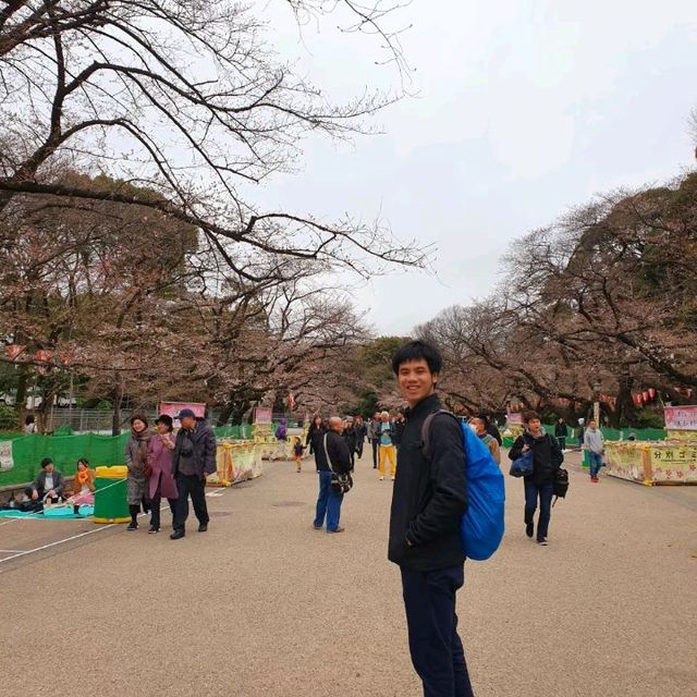 เดินเล่นชิลๆที่สวนอุเอโนะ (Ueno Park) 