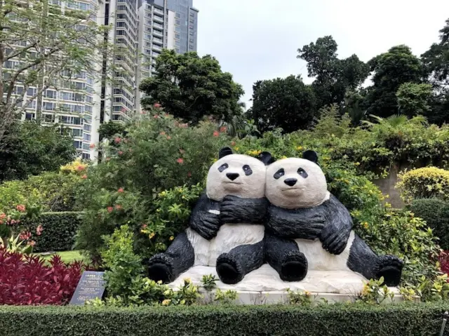 Macau Giant Panda Pavilion 🐼 