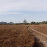 เกาะพระทอง คุระบุรี พังงา