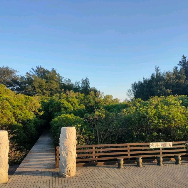 桃園觀新藻礁生態系野生動物保護區