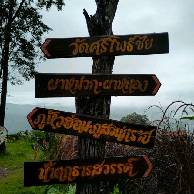 ภูค้อ นาแห้ว 
