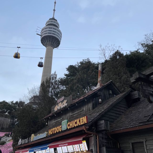 겨울에도 즐거운 대구 이월드🎢