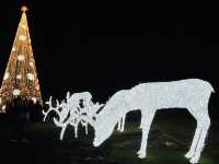 CAMARINES SUR LIGHTS UP at CHRISTMAS 