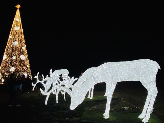 CAMARINES SUR LIGHTS UP at CHRISTMAS 