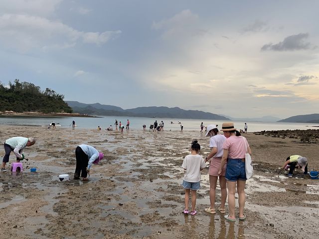 海星灣掘蜆｜烏溪沙