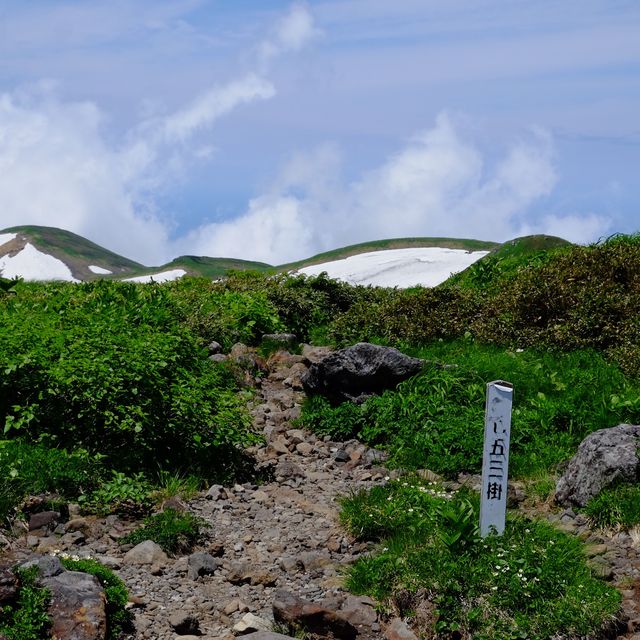 初夏の鳥海山を眺めながら