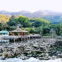 大嶼山龍仔悟園