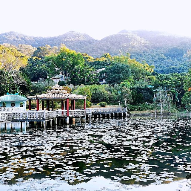 大嶼山龍仔悟園