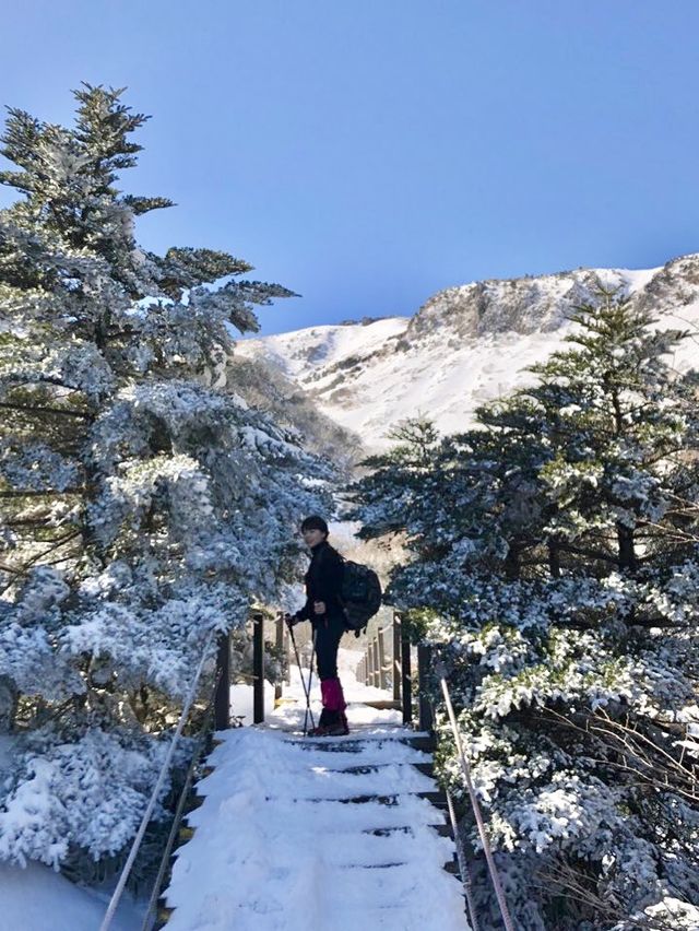 겨울 눈꽃산행 [한라산]