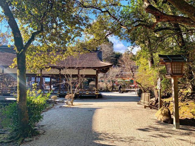 【京都観光】京都にある世界遺産⛩