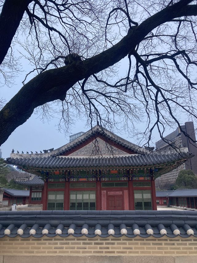 도심 속 궁투어