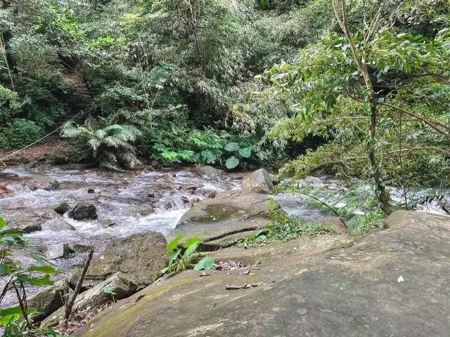 基隆特色峽谷步道~暖東峽谷 親近大自然與水流 