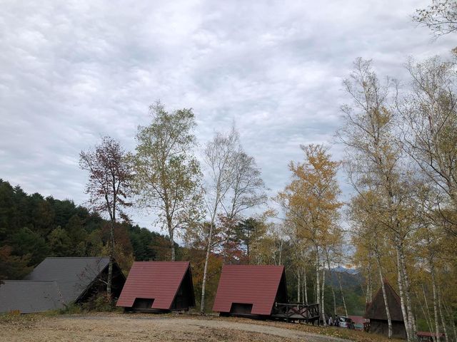 長野阿智村露營🏕️😆😆