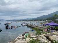 大美督無敵海景