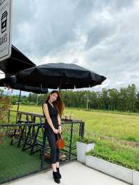 Homduan coffee cafe 