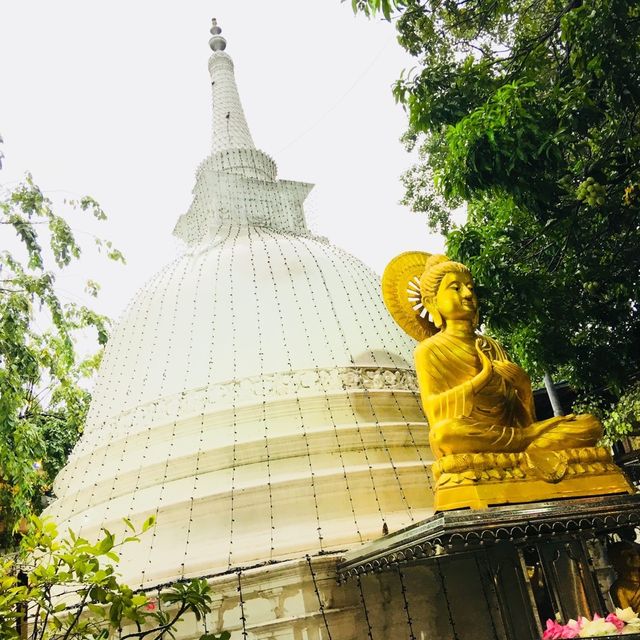 スリランカ🇱🇰