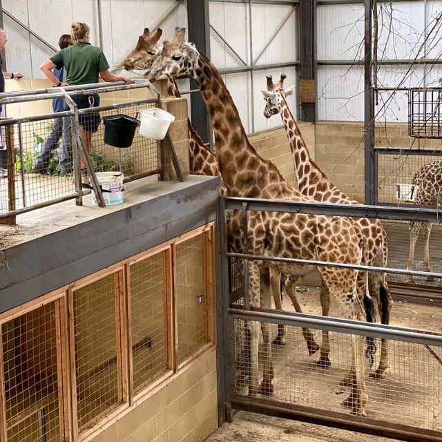 英國最具規模的野生動物公園及花園